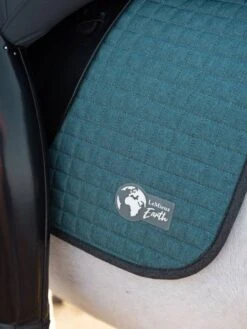 LeMieux Earth Collection Dressage Saddlepad 18 LeMieux Earth Collection Dressage Saddlepad -Equestrian Supplies Store it01417 lifestyleearthdressagepad ocean 1 copy