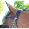 Kentaur 'Comfort Poll' Bridle -Equestrian Supplies Store kentaur comfort poll bridle bridle