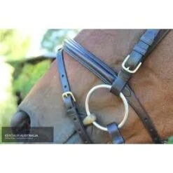 Kentaur 'Comfort Poll' Bridle -Equestrian Supplies Store kentaur comfort poll bridle bridle 4