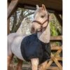 LeMieux Anti Rub Bib -Equestrian Supplies Store lemieux anti rub bib bib