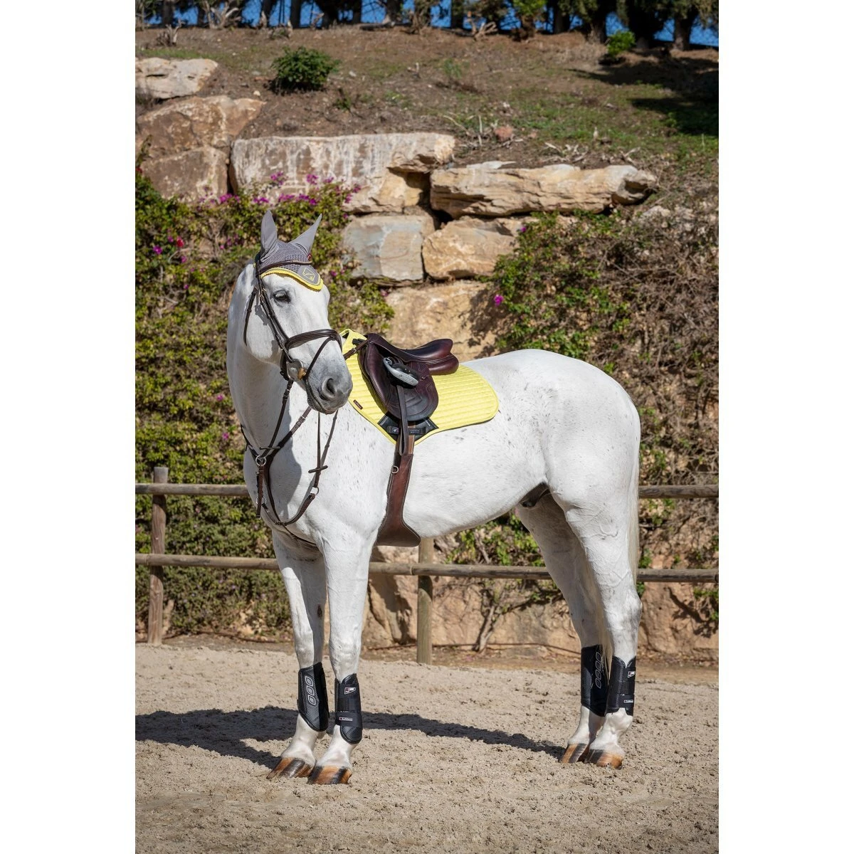 LeMieux Carbon Air XC Boots 12 LeMieux Carbon Air XC Boots - Image 10