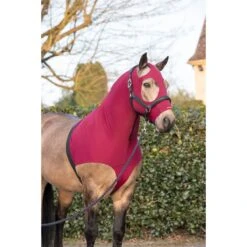 LeMieux Friction Free Lycra Hood -Equestrian Supplies Store lemieux friction free lycra hood hood 4