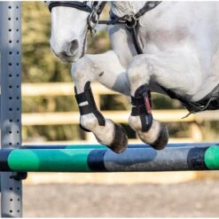 LeMieux Junior Pro Boots  -Equestrian Supplies Store lemieux junior pro boots show jumping boots 10