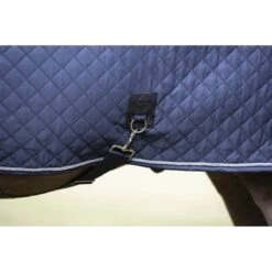 LeMieux Lustre Rug 17 LeMieux Lustre Rug -Equestrian Supplies Store lemieux lustre rug rug 7