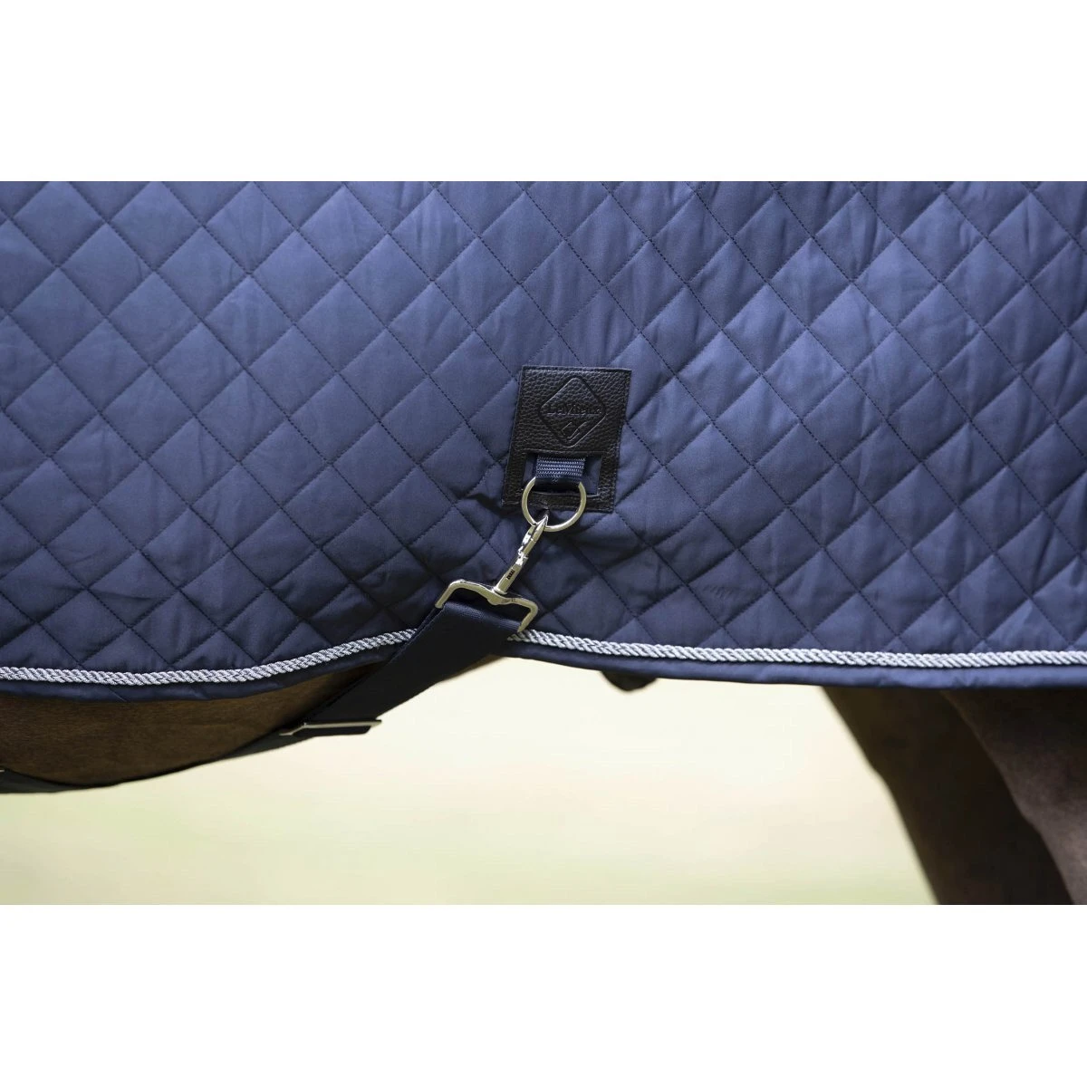 LeMieux Lustre Rug 9 LeMieux Lustre Rug - Image 7