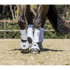 LeMieux Proshell Brushing Boots 12 LeMieux Proshell Brushing Boots -Equestrian Supplies Store lemieux proshell brushing boots boots 3