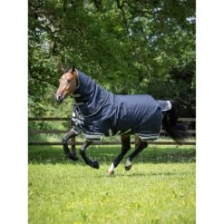 LeMieux Arika Storm-Tek Rug With Detachable Neck 200g -Equestrian Supplies Store lm stormtek1 hr