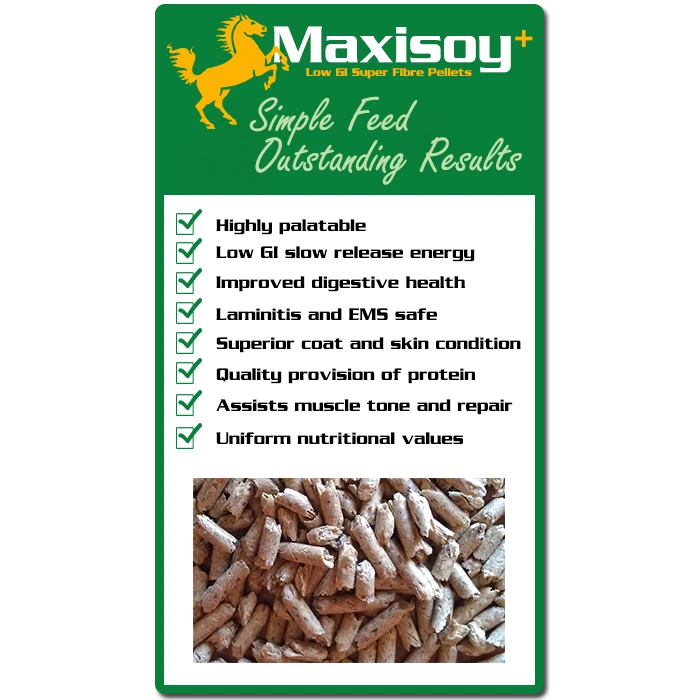 Maxisoy+ 4 Maxisoy+ - Image 2