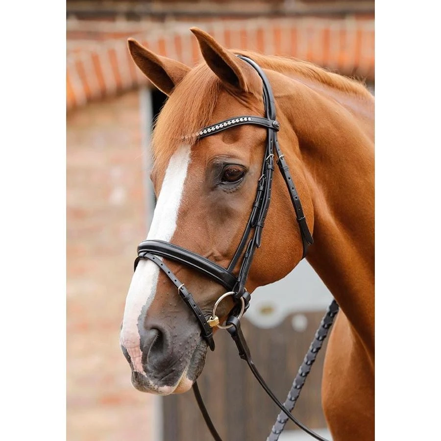 Premier Equine Bellissima Bridle With Diamante Brow Band 3 Premier Equine Bellissima Bridle With Diamante Brow Band