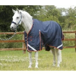 Premier Equine Buster Zero 0g Turnout Rug With Classic Neck Cover 14 Premier Equine Buster Zero 0g Turnout Rug With Classic Neck Cover -Equestrian Supplies Store premier equine buster 0g rug rug
