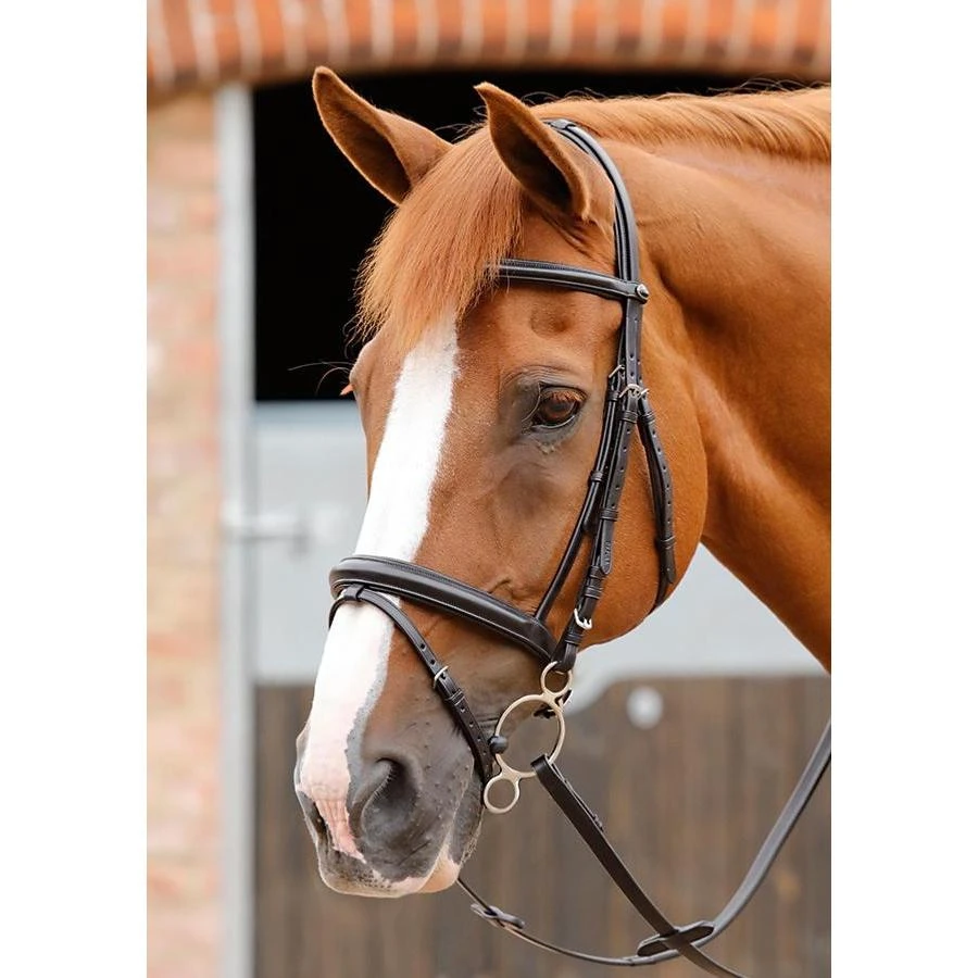 Premier Equine Delizioso Snaffle Bridle 3 Premier Equine Delizioso Snaffle Bridle