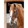 Premier Equine Glorioso Grackle Bridle -Equestrian Supplies Store premier equine glorioso grackle bridle