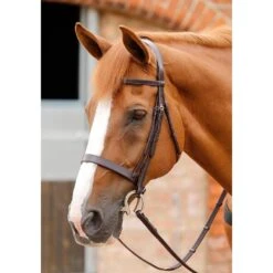 Premier Equine Primo Hunter Bridle