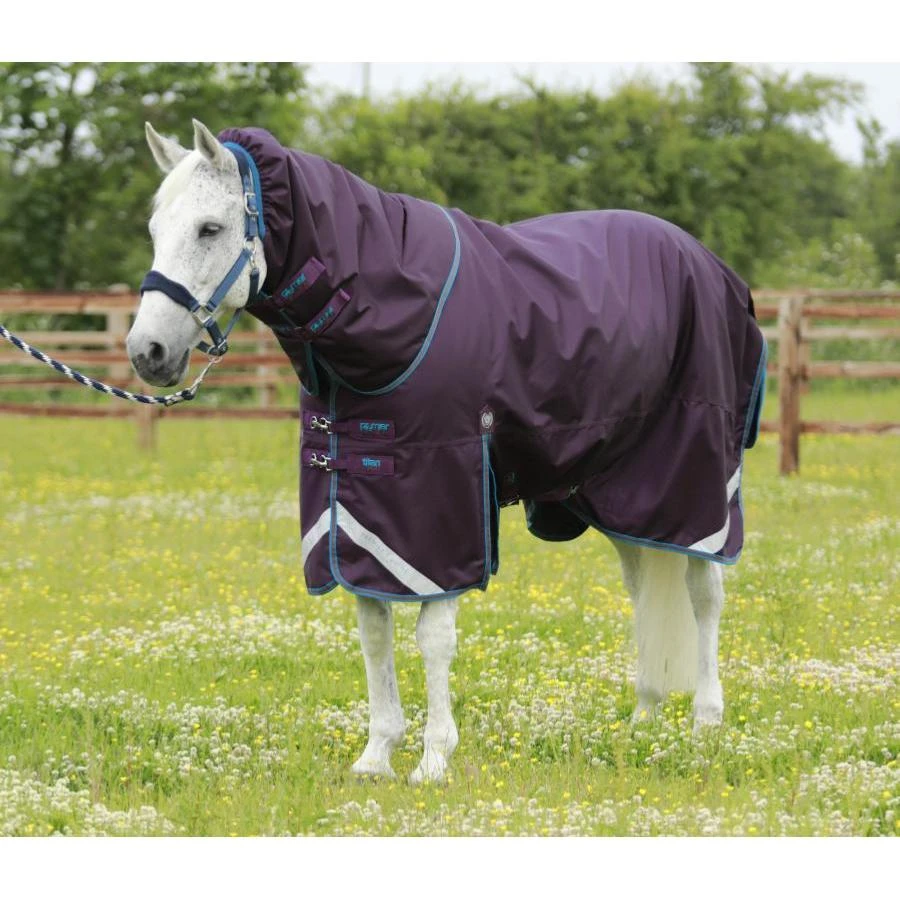 Premier Equine Titan 200g Turnout Rug With Detachable Neck Cover 13 Premier Equine Titan 200g Turnout Rug With Detachable Neck Cover - Image 11