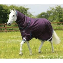 Premier Equine Titan 200g Turnout Rug With Detachable Neck Cover 26 Premier Equine Titan 200g Turnout Rug With Detachable Neck Cover -Equestrian Supplies Store premier equine titan 200 rug rug 11