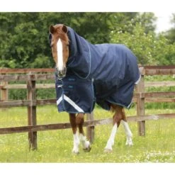 Premier Equine Titan 200g Turnout Rug With Detachable Neck Cover 27 Premier Equine Titan 200g Turnout Rug With Detachable Neck Cover -Equestrian Supplies Store premier equine titan 200 rug rug 13