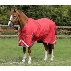 Premier Equine Titan 200g Turnout Rug With Detachable Neck Cover 22 Premier Equine Titan 200g Turnout Rug With Detachable Neck Cover -Equestrian Supplies Store premier equine titan 200 rug rug 7