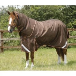 Premier Equine Titan 300g Turnout Rug With Detachable Neck Cover 20 Premier Equine Titan 300g Turnout Rug With Detachable Neck Cover -Equestrian Supplies Store premier equine titan 300g turnout rug rug 2