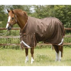 Premier Equine Titan 300g Turnout Rug With Detachable Neck Cover 21 Premier Equine Titan 300g Turnout Rug With Detachable Neck Cover -Equestrian Supplies Store premier equine titan 300g turnout rug rug