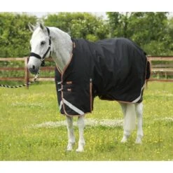 Premier Equine Titan 300g Turnout Rug With Detachable Neck Cover 14 Premier Equine Titan 300g Turnout Rug With Detachable Neck Cover -Equestrian Supplies Store premier equine titan 300g turnout rug rug 8