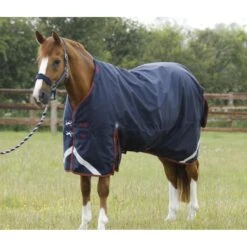 Premier Equine Titan 450g Turnout Rug With Detachable Neck -Equestrian Supplies Store premier equine titan 450g turnout rugs pre order rug 10