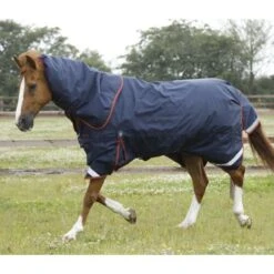 Premier Equine Titan 450g Turnout Rug With Detachable Neck -Equestrian Supplies Store premier equine titan 450g turnout rugs pre order rug 11