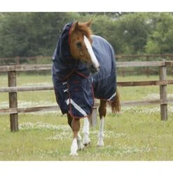 Premier Equine Titan 450g Turnout Rug With Detachable Neck -Equestrian Supplies Store premier equine titan 450g turnout rugs pre order rug 12