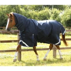 Premier Equine Titan Storm 200g Turnout Combo -Equestrian Supplies Store premier equine titan storm 200g turnout rug pre order rug 10