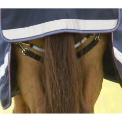 Premier Equine Titan Storm 200g Turnout Combo -Equestrian Supplies Store premier equine titan storm 200g turnout rug pre order rug 3