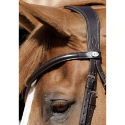 Premier Equine Verdura Anatomic Snaffle Bridle -Equestrian Supplies Store premier equine verdura anatomic snaffle bridle bridle 3