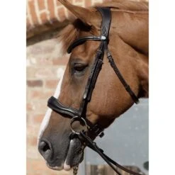 Premier Equine Verdura Anatomic Snaffle Bridle -Equestrian Supplies Store premier equine verdura anatomic snaffle bridle bridle 4