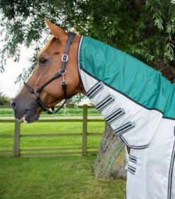 Premier Equine ShowerTex Fly Rug 15 Premier Equine ShowerTex Fly Rug -Equestrian Supplies Store showertex fly rug with surcingles 201950grn 737103 768x 034e9a1a 5b67 4472 a429 02e293b2d4f8