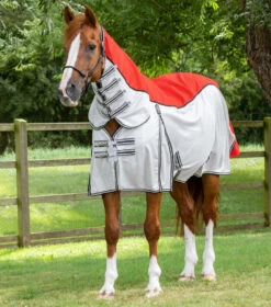 Premier Equine ShowerTex Fly Rug 13 Premier Equine ShowerTex Fly Rug -Equestrian Supplies Store showertex fly rug with surcingles 201950r 131562 768x 4aac59a9 1fe4 431b bc5a 2b6967b247c5