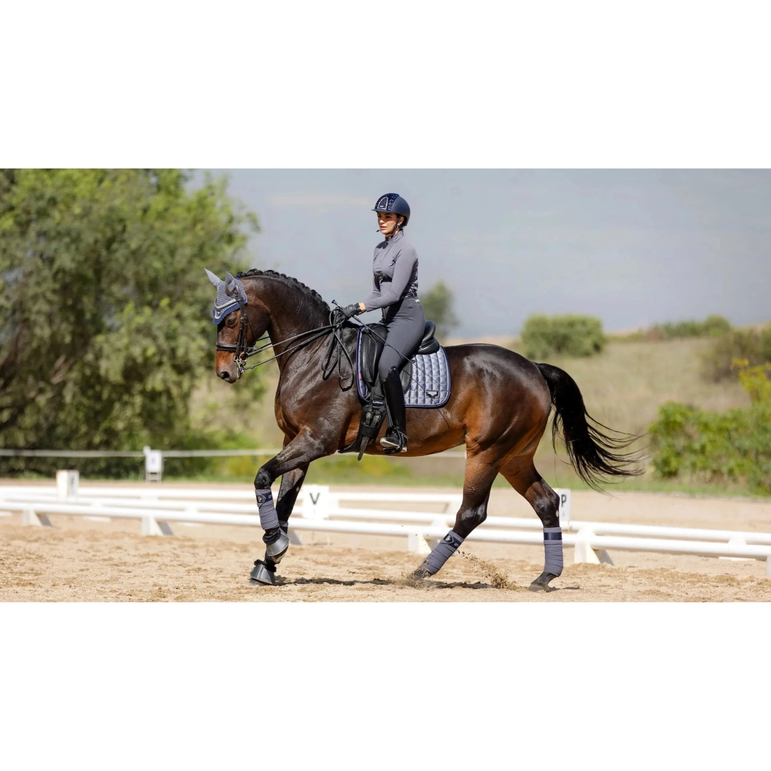 LeMieux Twilight Collection Classic Dressage Square 5 LeMieux Twilight Collection Classic Dressage Square - Image 3