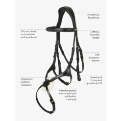 LeMieux Kudos Grackle Bridle 16 LeMieux Kudos Grackle Bridle -Equestrian Supplies Store website bride features grackle