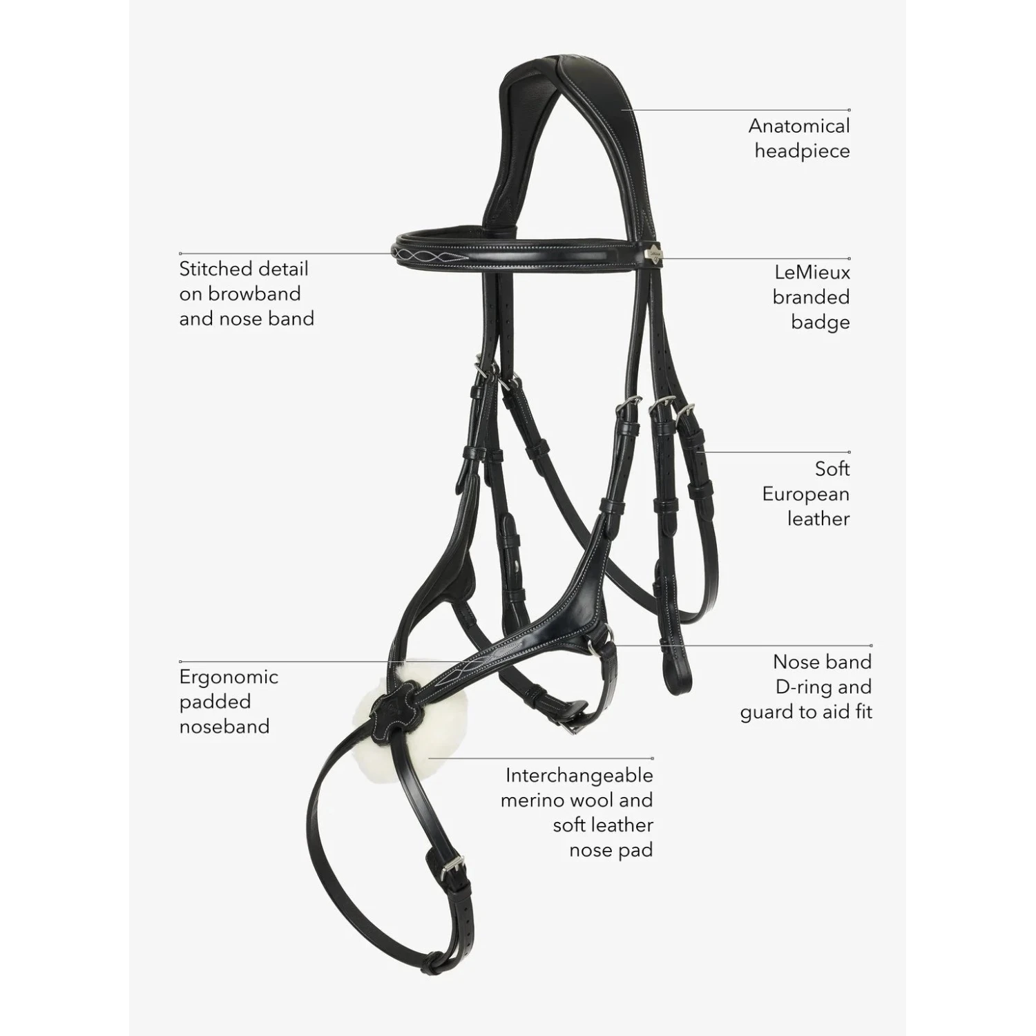 LeMieux Kudos Grackle Bridle 7 LeMieux Kudos Grackle Bridle - Image 5